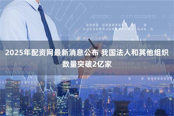 2025年配资网最新消息公布 我国法人和其他组织数量突破2亿家