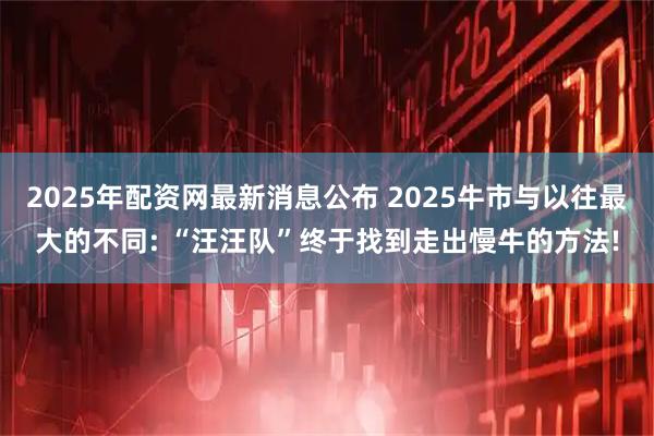 2025年配资网最新消息公布 2025牛市与以往最大的不同: “汪汪队”终于找到走出慢牛的方法!